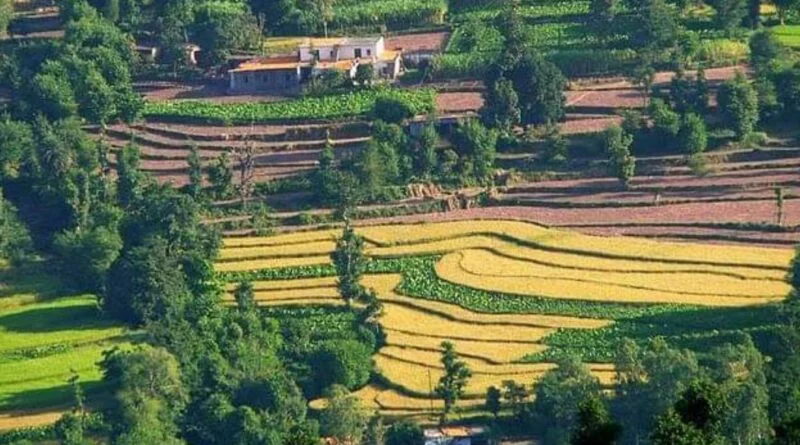 Bill tables to relax construction permission under sec 118 HIMACHAL HEADLINES