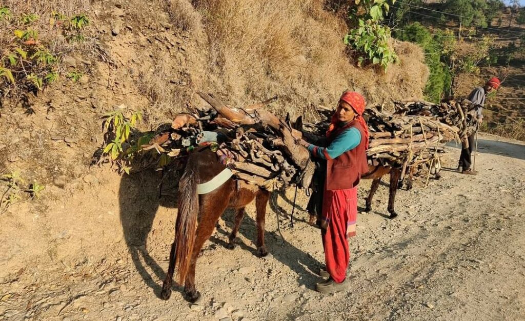 Gram Rozgar Sevaks, Silai Adhyapikas and Panchayat chowkidars to be handed over work of Panchayat Secretaries on strike Gram Rozgar Sevaks, Silai Adhyapikas and Panchayat chowkidars to be handed over work of Panchayat Secretaries on strike HIMACHAL HEADLINES