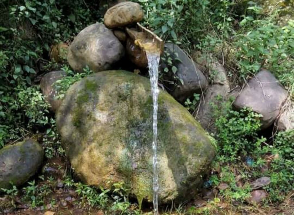 50 pc water sources depleted in KW HEP affected area: Study 50 pc water sources depleted in KW HEP affected area: Study HIMACHAL HEADLINES