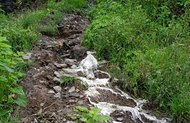Rescue operation fails to trace four missing Rescue operation fails to trace four missing HIMACHAL HEADLINES