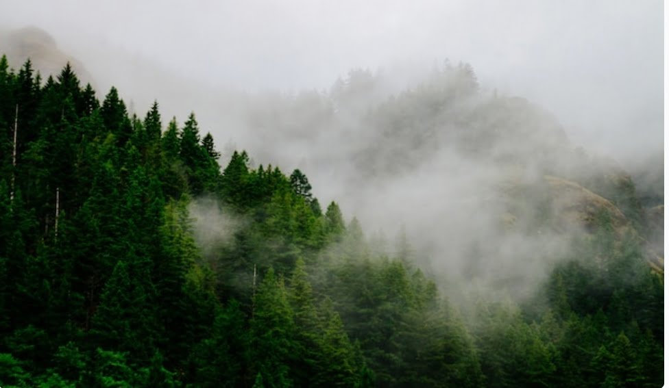 Despite yellow alert HP received deficient rain Despite yellow alert HP received deficient rain HIMACHAL HEADLINES