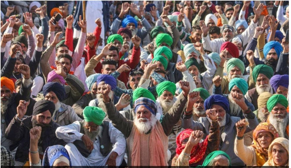 Samyukt Kisan Morcha dismissed the committee formed on MSP , calls it anti-farmer HIMACHAL HEADLINES