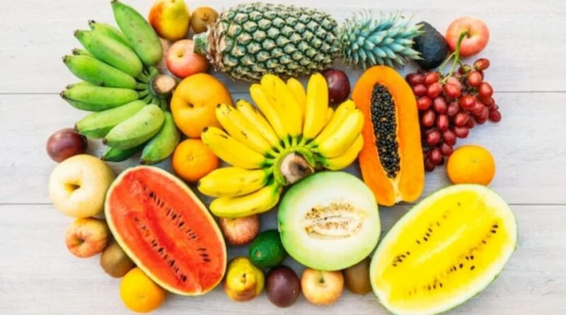 State government approves MIS for procurement of processing grade mango and citrus fruits HIMACHAL HEADLINES