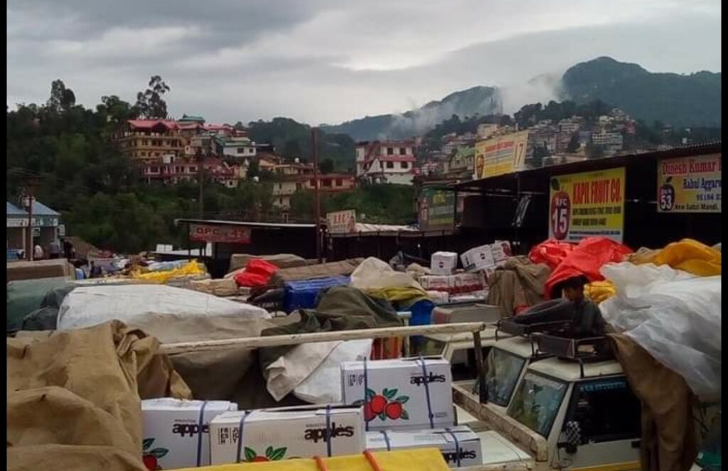 The condition of Solan Mandi in apple season is very bad – Aninder Singh Nauti, AAP The condition of Solan Mandi in apple season is very bad – Aninder Singh Nauti, AAP HIMACHAL HEADLINES