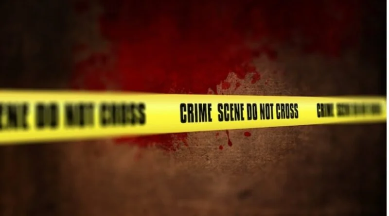 Intoxicated son slain mother to death  HIMACHAL HEADLINES