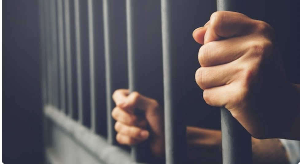 Flesh racket busted Four held  HIMACHAL HEADLINES