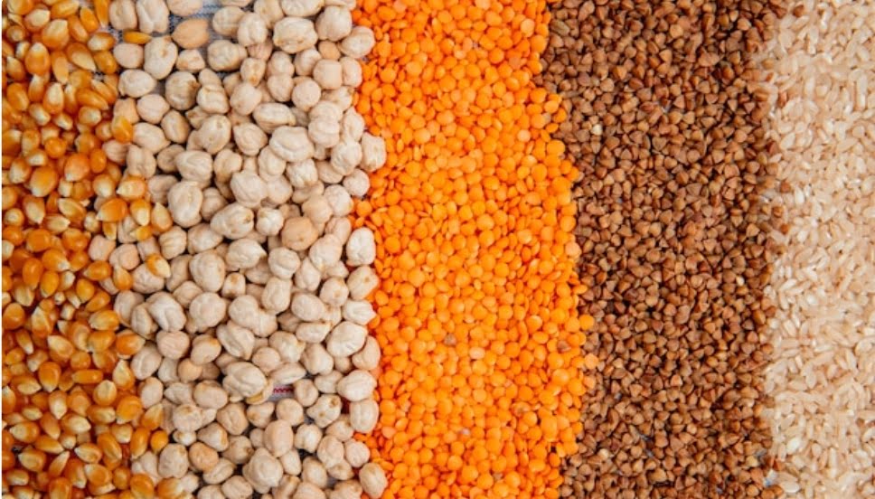 Himachal govt ensuring Food security and quality food grains to all Himachal govt ensuring Food security and quality food grains to all HIMACHAL HEADLINES