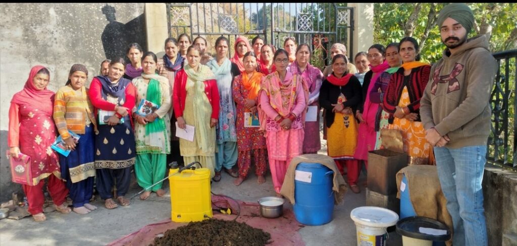 Woman switches over to chemical free farming in Solan Woman switches over to chemical free farming in Solan HIMACHAL HEADLINES