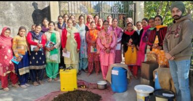 Woman switches over to chemical free farming in Solan HIMACHAL HEADLINES