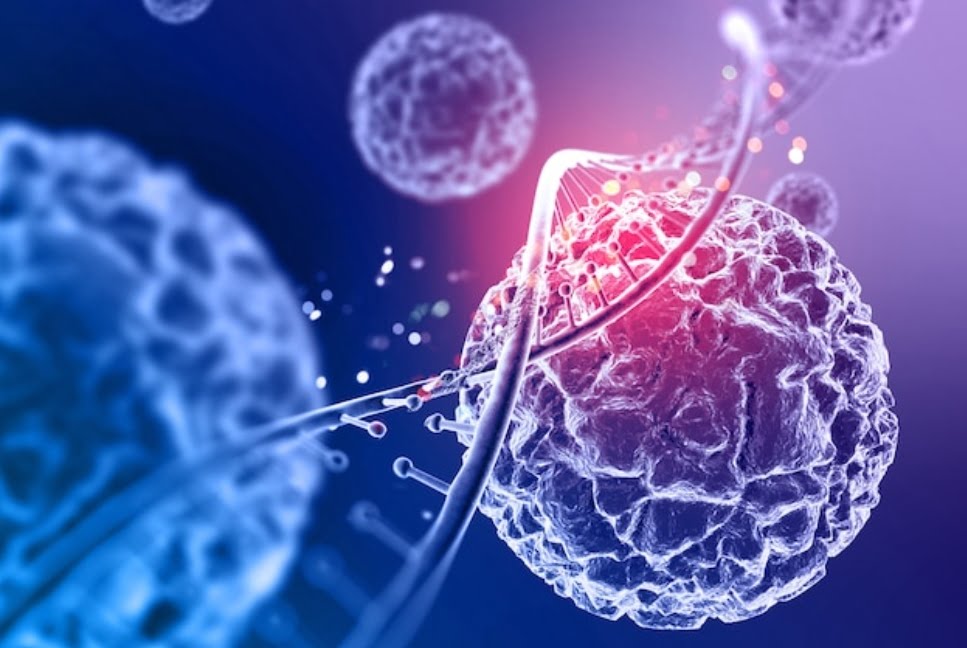 IIT Mandi researchers use natural polymer based smart nanoparticles to treat colorectal cancer IIT Mandi researchers use natural polymer based smart nanoparticles to treat colorectal cancer HIMACHAL HEADLINES