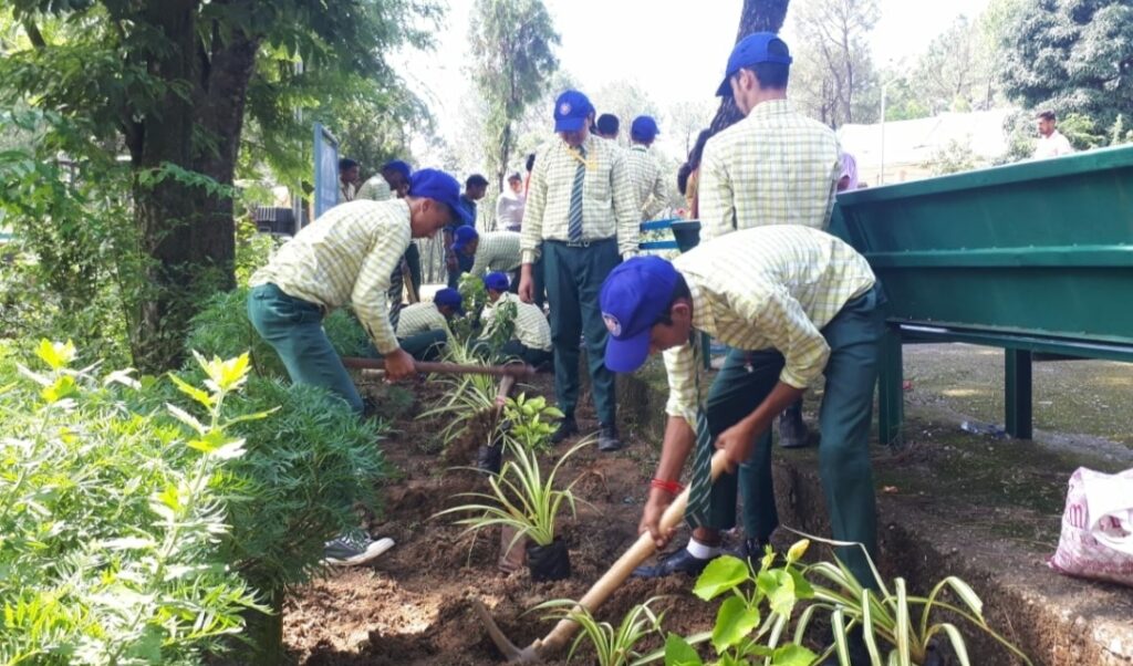Landscape plantation drive in schools by CSIR-IHBT Landscape plantation drive in schools by CSIR-IHBT HIMACHAL HEADLINES