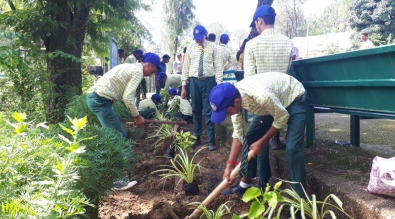 Landscape plantation drive in schools by CSIR-IHBT HIMACHAL HEADLINES