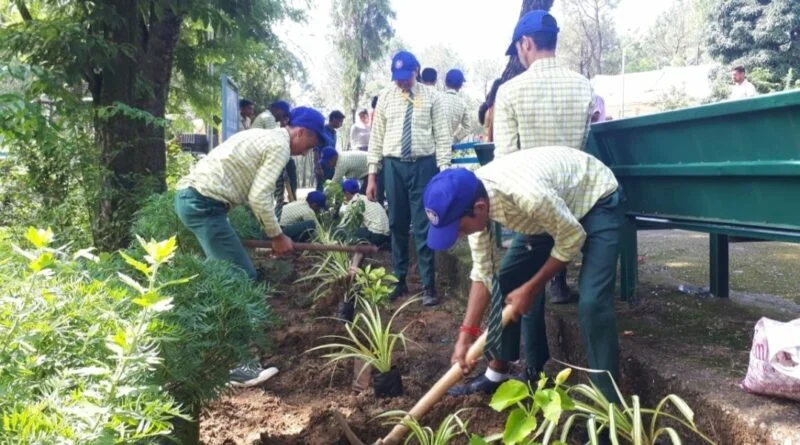 Landscape plantation drive in schools by CSIR-IHBT HIMACHAL HEADLINES