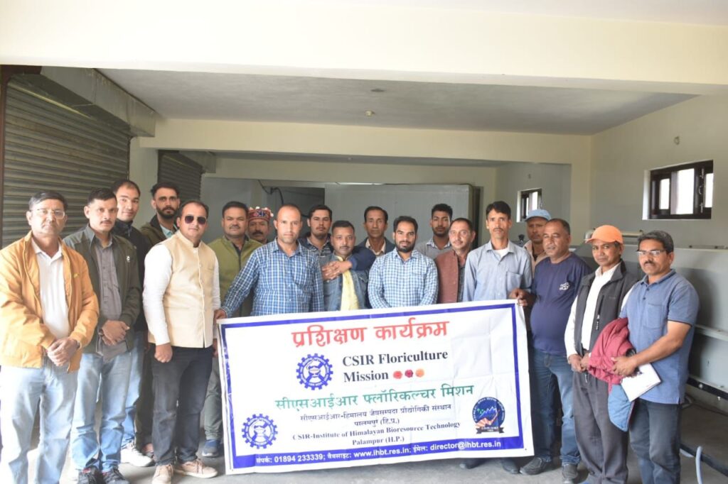 Training Program on Lilium Bulb Production by CSIR-IHBT HIMACHAL HEADLINES