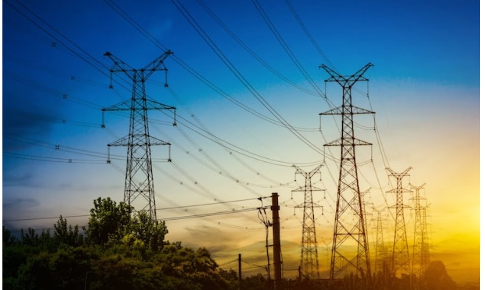 Workshop on ‘System Inertia and Flexibility Services from Hydro Stations in Indian Power System’ Organized  HIMACHAL HEADLINES