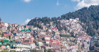 Government misleading people regarding Shimla development plan: Adarsh Sood HIMACHAL HEADLINES
