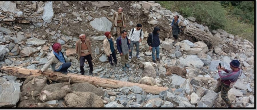 Monsoon derails normal life in Himachal, Cloud burst washes away livestock HIMACHAL HEADLINES