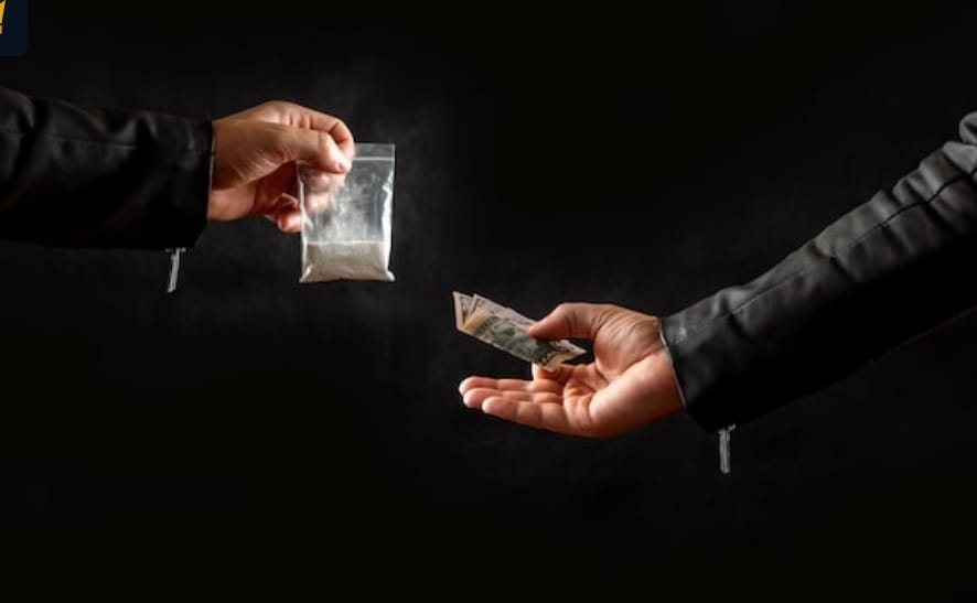 Drug officials seizes huge cache of spurious drugs in Baddi Drug officials seizes huge cache of spurious drugs in Baddi HIMACHAL HEADLINES