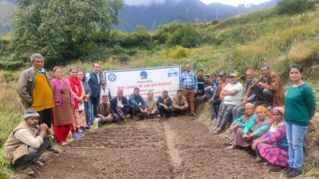 CSIR-IHBT Promoting Saffron Cultivation in Himachal CSIR-IHBT Promoting Saffron Cultivation in Himachal HIMACHAL HEADLINES
