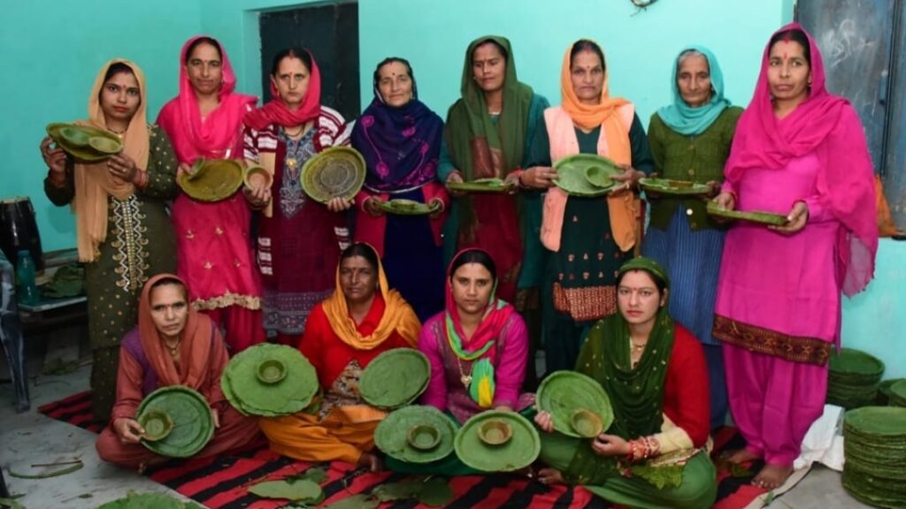 Sincere efforts of government brought prosperity to thousands of women in Himachal HIMACHAL HEADLINES