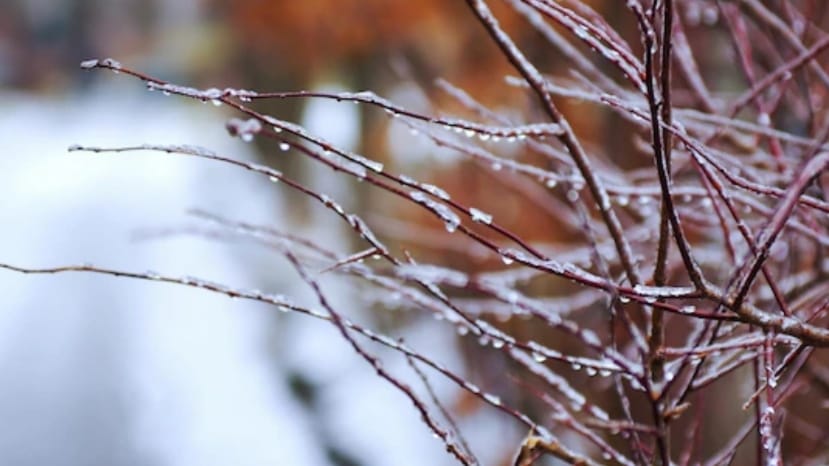 Keylong freezes at minus 5.7 C HIMACHAL HEADLINES