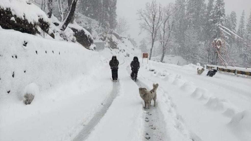 Fresh snowfall on high reaches of Himachal Pradesh Fresh snowfall on high reaches of Himachal Pradesh HIMACHAL HEADLINES