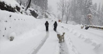 Fresh snowfall on high reaches of Himachal Pradesh HIMACHAL HEADLINES