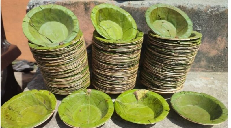 Eco-friendly Traditional Craft for Serving Cuisine in Himachal Pradesh HIMACHAL HEADLINES
