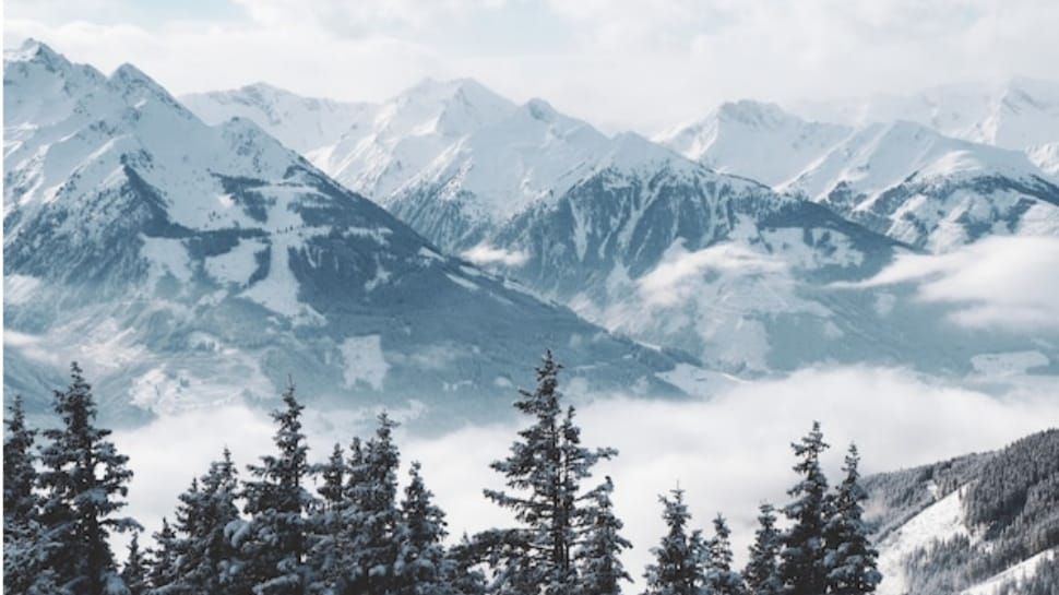 High reaches receives fresh snowfall in Himachal HIMACHAL HEADLINES
