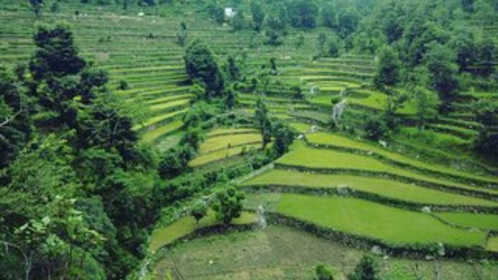 Development models must align with Himalayan needs: VC Development models must align with Himalayan needs: VC HIMACHAL HEADLINES