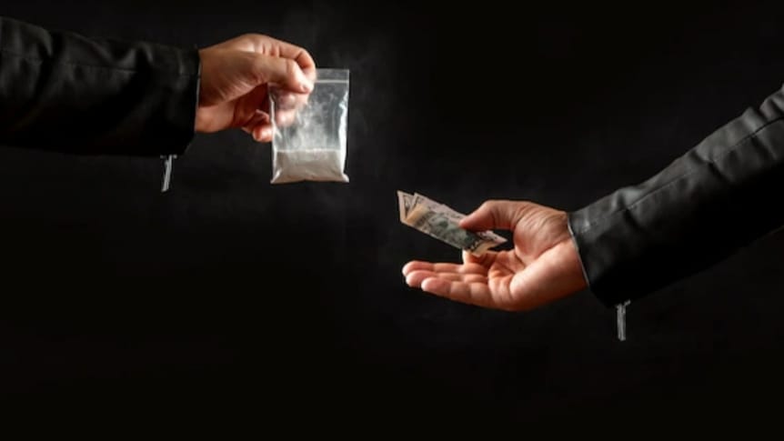 Shimla police claims 130 per cent increase in Chitta seizure  HIMACHAL HEADLINES