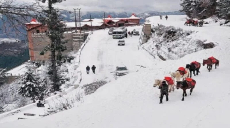 Tourist resort Kufri, Manali & Narkanda receives first snowfall of season HIMACHAL HEADLINES