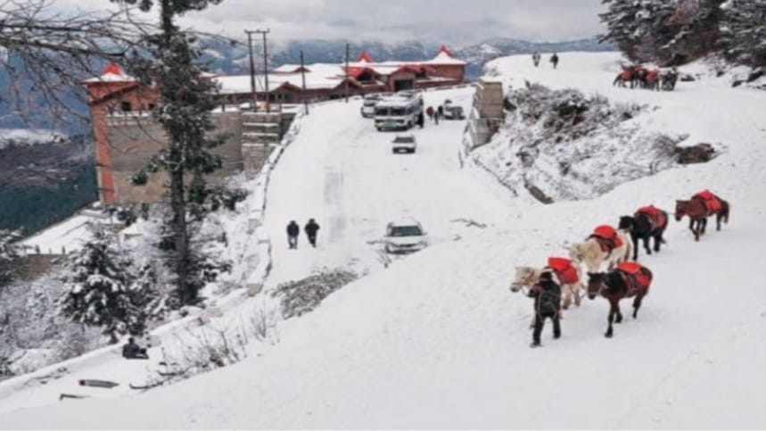Tourist resort Kufri, Manali & Narkanda receives first snowfall of season Tourist resort Kufri, Manali & Narkanda receives first snowfall of season HIMACHAL HEADLINES