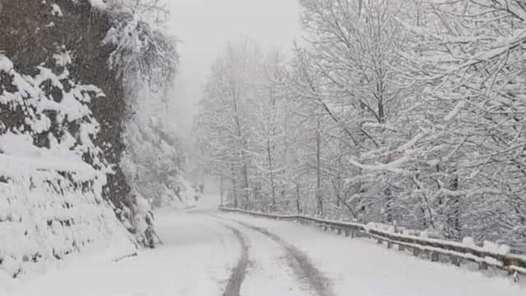Fresh snowfall Mercury plummets in Himachal HIMACHAL HEADLINES