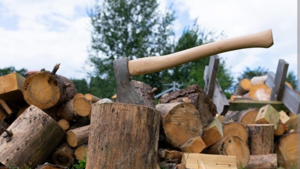 Two Timber wood theft case register in Jubbal & Chiragon Two Timber wood theft case register in Jubbal & Chiragon HIMACHAL HEADLINES