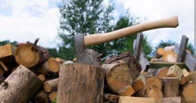 Two Timber wood theft case register in Jubbal & Chiragon HIMACHAL HEADLINES