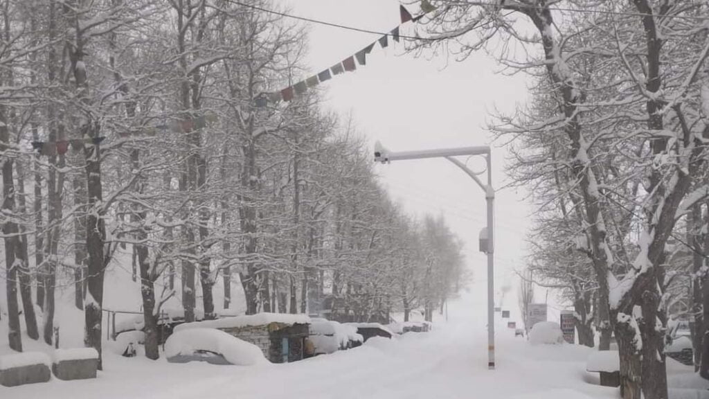 High reaches of Himachal receives snowfall HIMACHAL HEADLINES