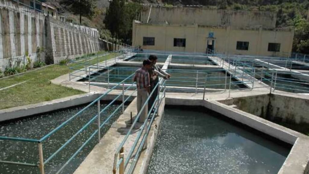 Model bye-laws issued for solid waste management and sanitation in rural areas HIMACHAL HEADLINES
