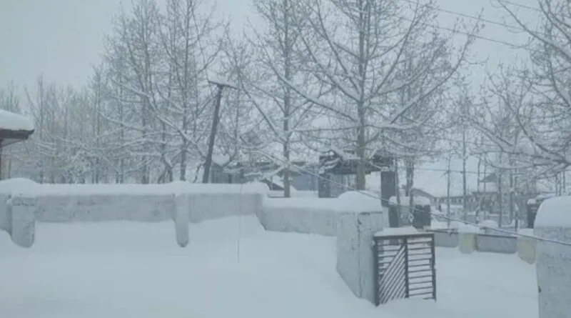 Snowfall on high reaches and windstorm derails life in Himachal HIMACHAL HEADLINES