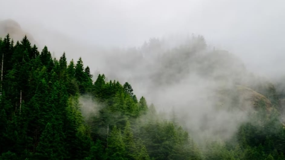 Hail, thunderstorm & light rain showers in Himachal Pradesh HIMACHAL HEADLINES