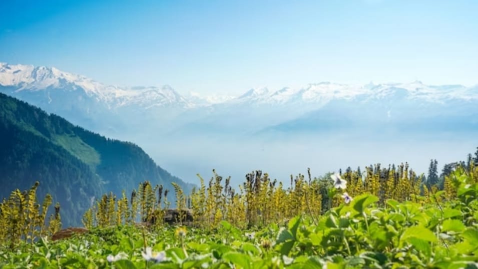 High reaches receives fresh spell of Snowfall in Himachal High reaches receives fresh spell of Snowfall in Himachal HIMACHAL HEADLINES