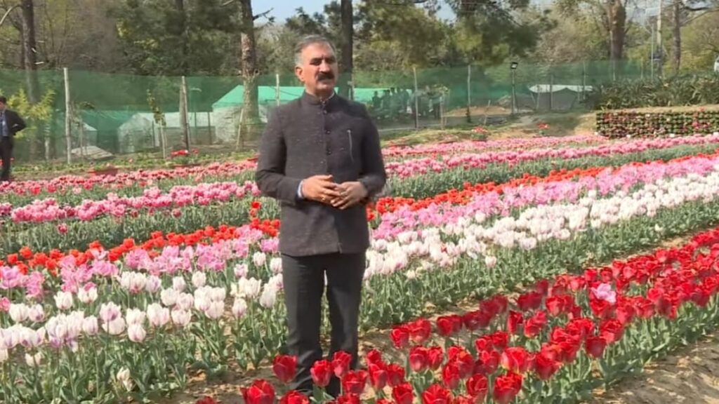 Expansion of Gaggal Airport to increase tourism & improve connectivity : Sukhu Expansion of Gaggal Airport to increase tourism & improve connectivity : Sukhu HIMACHAL HEADLINES