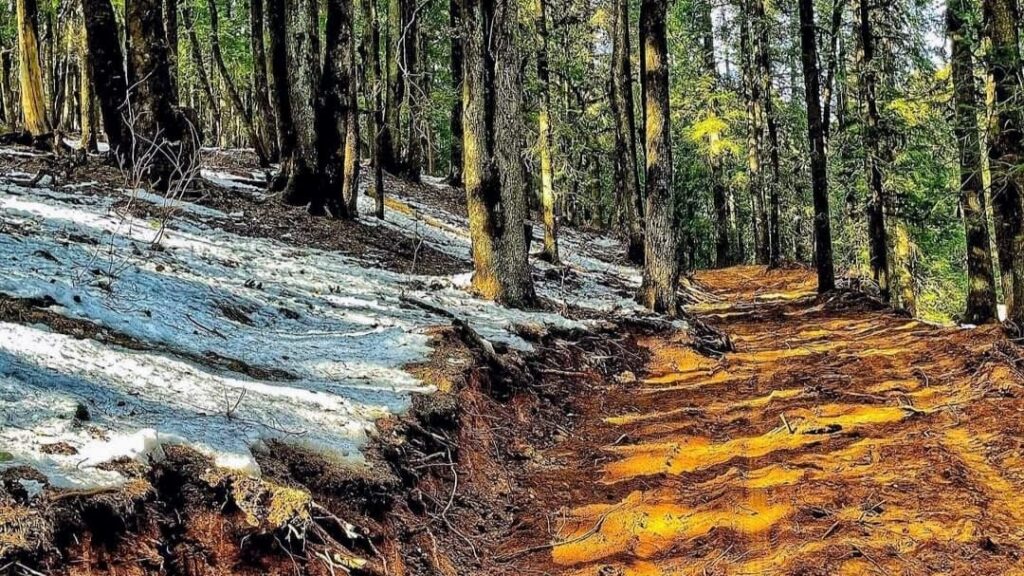 Himachal Government to develop Trek trails to increase tourist footfall and generate employment HIMACHAL HEADLINES