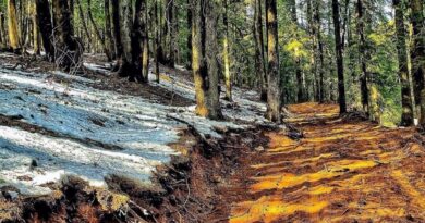 Himachal Government to develop Trek trails to increase tourist footfall and generate employment HIMACHAL HEADLINES