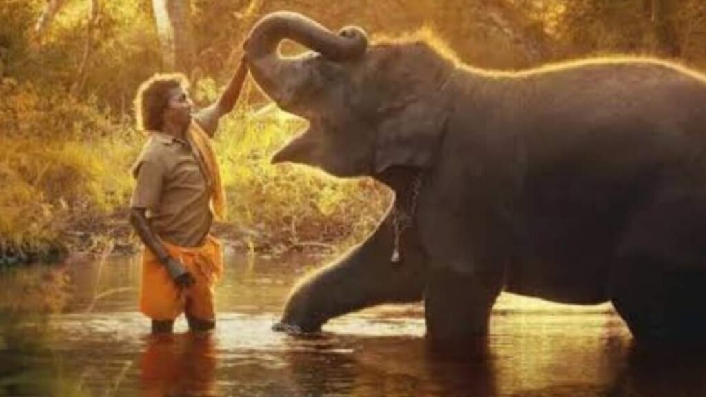 Former IIT Mandi Director Timothy Gonsalves daughter Kartiki Gonsalves wins Oscar for Elephant Whisperers HIMACHAL HEADLINES