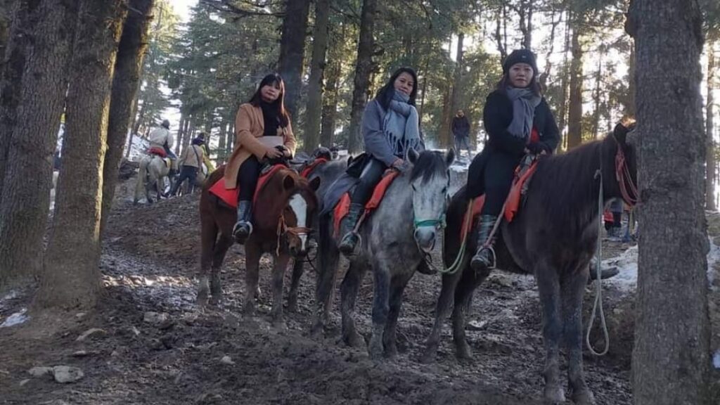 NGT orders constituting joint committee to probe damaging green forest by the horses at Kufri NGT orders constituting joint committee to probe damaging green forest by the horses at Kufri HIMACHAL HEADLINES