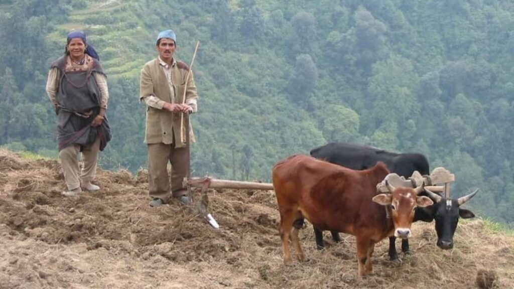 Budget is populist but does not address the core issues of farmers : Himachal Kisan Sabha HIMACHAL HEADLINES