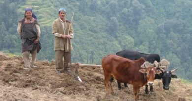 Budget is populist but does not address the core issues of farmers : Himachal Kisan Sabha HIMACHAL HEADLINES