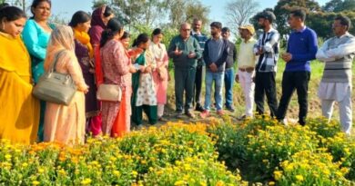 Farmers urged to adopt commercial flower cultivation HIMACHAL HEADLINES