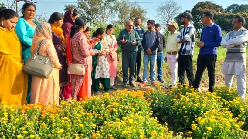 Farmers urged to adopt commercial flower cultivation HIMACHAL HEADLINES
